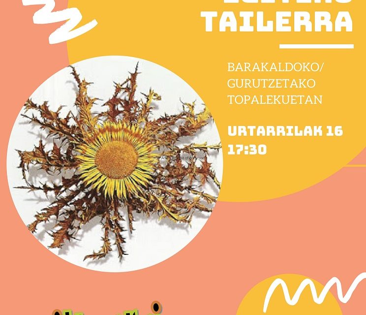 Eguzkiloreak egiteko tailerra – Gazte taldeak