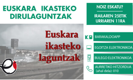 Euskara ikasteko dirulaguntzak 2024