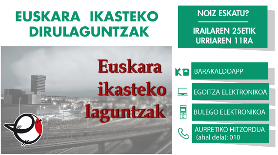 Euskara ikasteko dirulaguntzak 2024