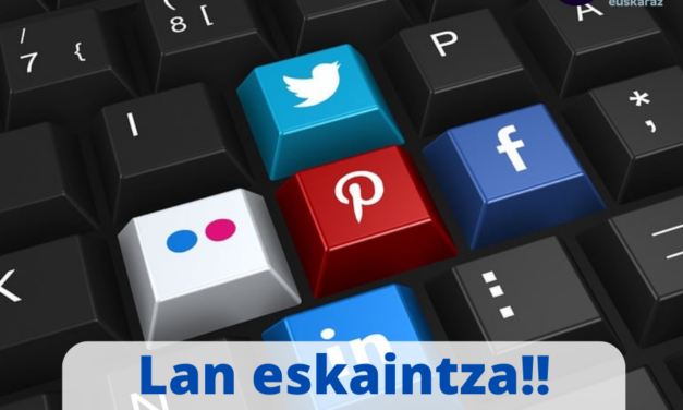 Lan eskaintza: «Web dinamizatzailea»